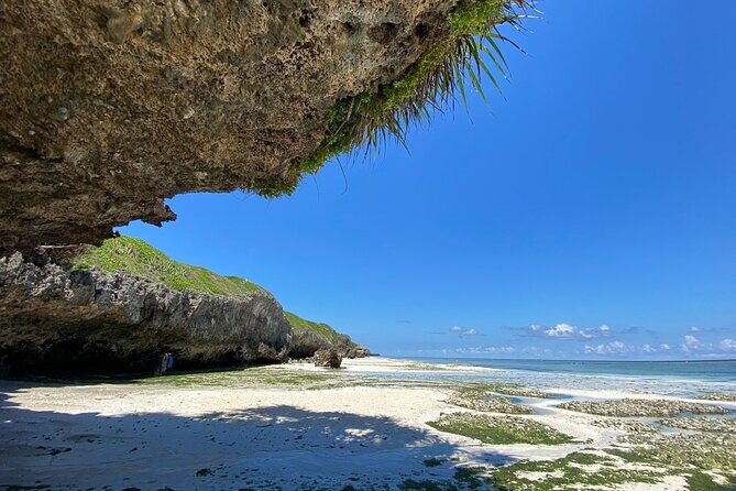 Explore Zanzibar's 6 Quintessential Southeastern Charm Full day - Stop 1: Kizimkazi Dimbani turtles and the Salaam Cave water time