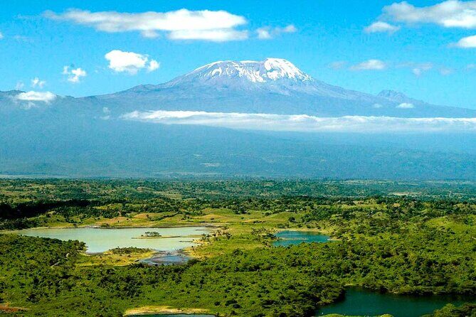 From Arusha: 7 Days Classic Safari Central Northern Circuit - Entering Arusha With an 8:00 Start and Park-Ready Pace