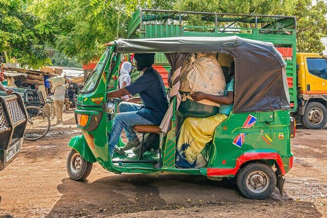 From Arusha: 7 Days Classic Safari Central Northern Circuit - Lake Manyara National Park: Flamingoes, Baboon Roadsides, and Tree-Climbing Lions