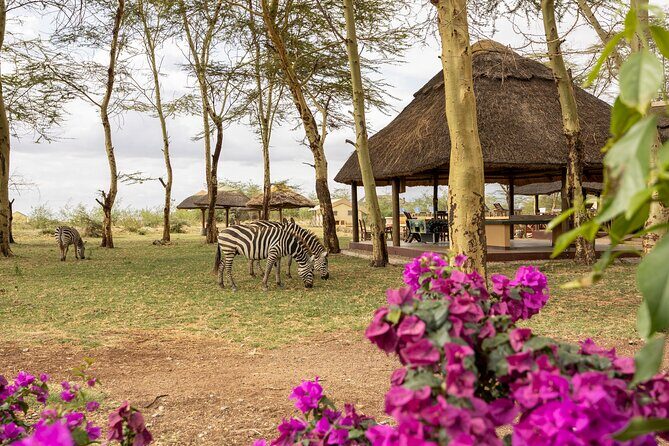 From Arusha: 9 Days Private Guided Classic Game Drive in Tanzania - Ngorongoro Crater: the Big Five odds from a natural volcanic bowl