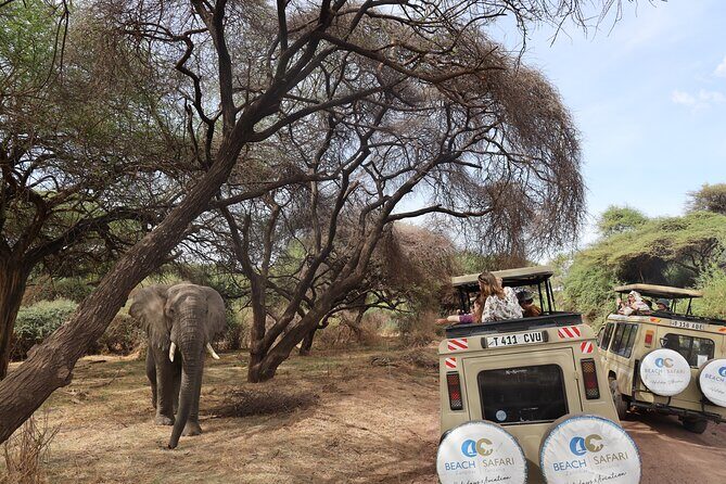 From Arusha: 9 Days Private Guided Classic Game Drive in Tanzania - Your guide is the difference: how the driving feels matters