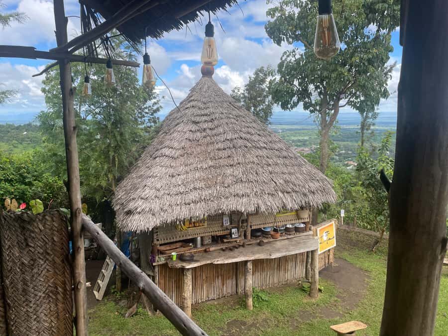 From Arusha: Coffee Farm and Mangalia Waterfalls Tour - Coffee from tree to cup near Arusha