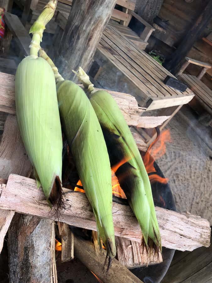 From Arusha: Coffee Farm and Mangalia Waterfalls Tour - The small-group advantage (and why it affects your photos and pace)