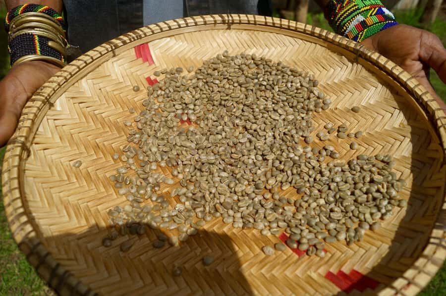 From Arusha: Coffee Farm and Mangalia Waterfalls Tour - Who this tour suits best