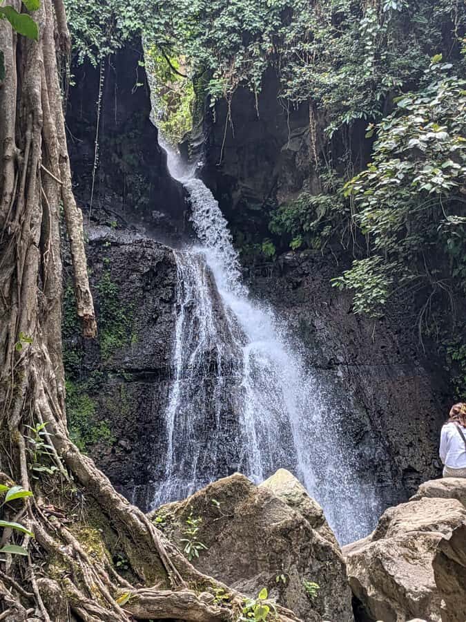 From Arusha: Coffee Farm and Mangalia Waterfalls Tour - What the coffee farm portion feels like (and why it’s worth 2 hours)