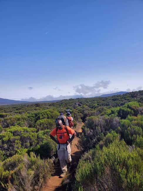 From Arusha/Moshi: Kilimanjaro Hike Marangu Route Day Trip - At Marangu Gate: registration, your guide, and that first uphill rhythm