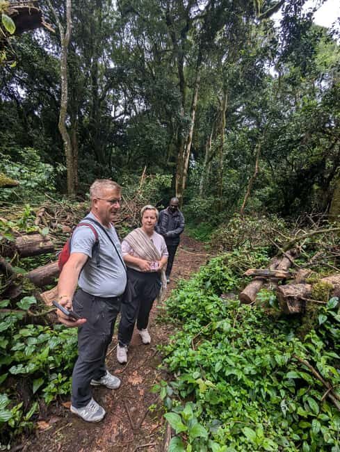 From Arusha/Moshi: Kilimanjaro Hike Marangu Route Day Trip - Rainforest Zone to Mandara Hut: monkeys, birds, and steady effort