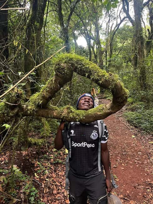 From Arusha/Moshi: Kilimanjaro Hike Marangu Route Day Trip - Mandara Hut and picnic lunch: where the day shifts from climbing to breathing