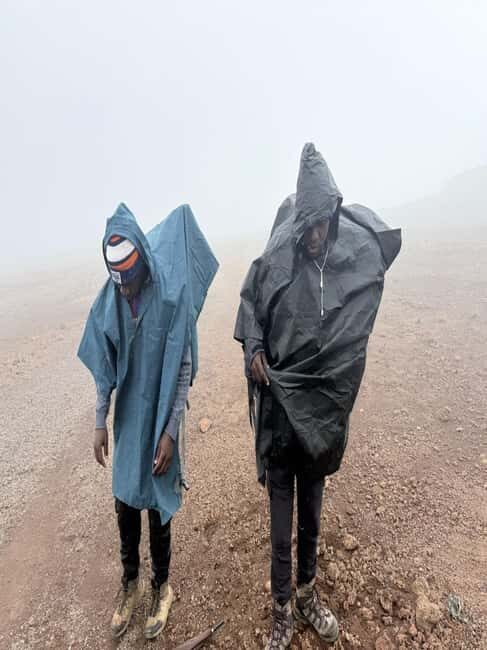 From Arusha/Moshi: Kilimanjaro Hike Marangu Route Day Trip - Price and value: $101 per person, plus the park fee reality