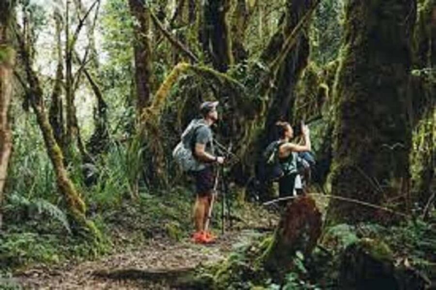 From Arusha/Moshi: Kilimanjaro Hike Marangu Route Day Trip - Timing and elevation: what 8–10 hours really means
