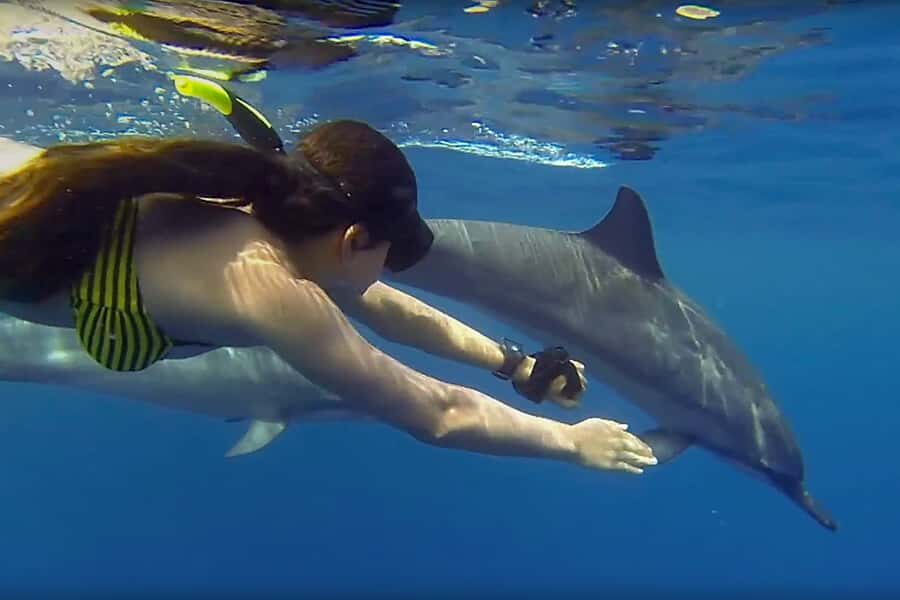 From Kendwa: Mnemba Boat Trip and Dolphin Snorkel Adventure - Why Mnemba’s waters are so good for this exact tour
