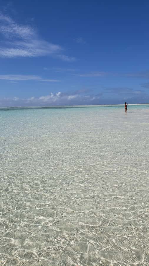 From Kendwa: Mnemba Boat Trip and Dolphin Snorkel Adventure - Price and value: is $50 really “worth it” here?