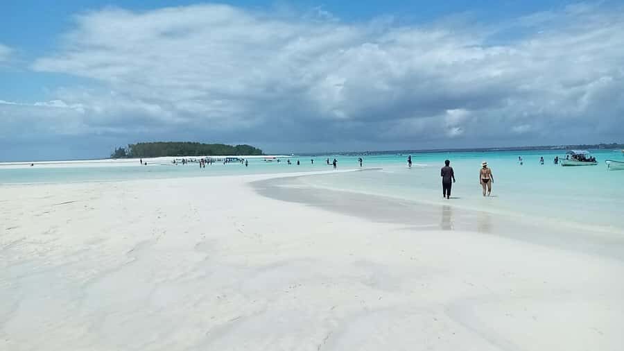 From Kendwa: Mnemba Boat Trip and Dolphin Snorkel Adventure - Snorkeling around Mnemba Atoll: what you’ll actually see