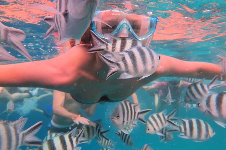 From Kendwa: Mnemba Boat Trip and Dolphin Snorkel Adventure - The disappearing sandbank: low tide photos plus fresh fruit