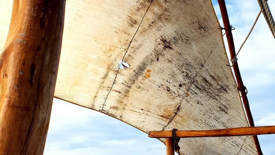 From Nungwi : Mnemba Boat Trip and Dolphin Snorkel Adventure - Mnemba dolphin snorkeling: what you’re really paying for