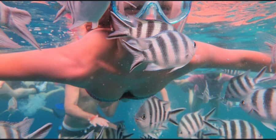 FROM NUNGWI; MNEMBA SNORKELING AND DOLPHIN TOUR - Key highlights I’d circle on your trip plan