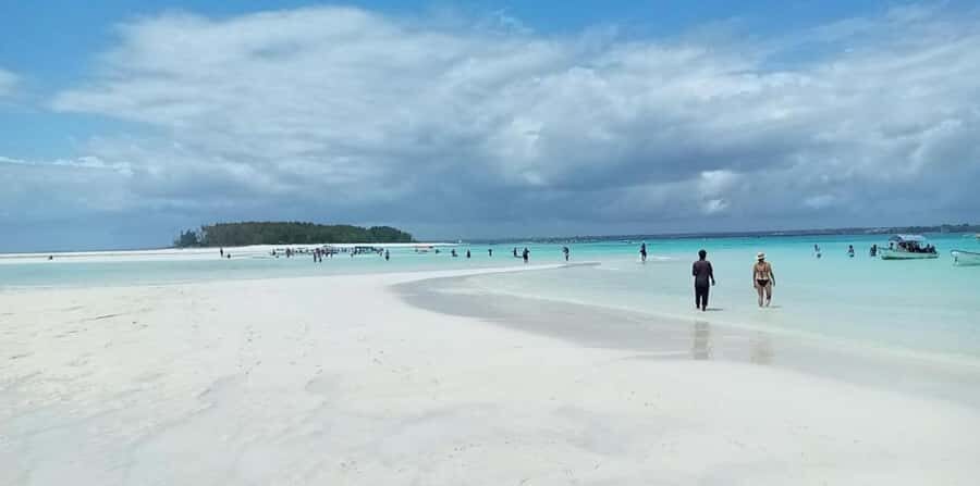 FROM NUNGWI; MNEMBA SNORKELING AND DOLPHIN TOUR - Dolphin time: how the boat ride turns into real wildlife viewing