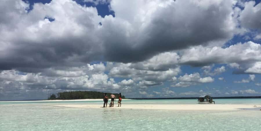 FROM NUNGWI; MNEMBA SNORKELING AND DOLPHIN TOUR - The sandbank break: shallow water, sea-life spotting, and downtime