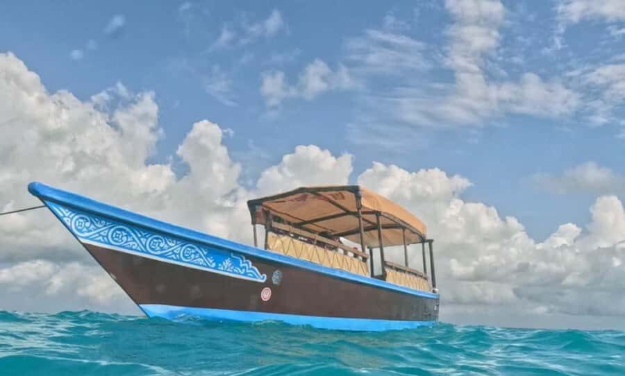FROM NUNGWI; MNEMBA SNORKELING AND DOLPHIN TOUR - Who this Mnemba tour is best for (and who should skip it)