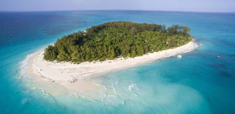 FROM NUNGWI; MNEMBA SNORKELING AND DOLPHIN TOUR - Small logistics that change your comfort level