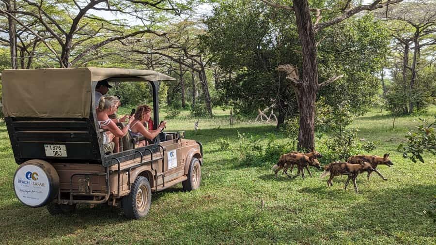 From Zanzibar: Day Selous Game Reserve Safari with Flights - The main event: a full day game drive in Selous/Nyerere