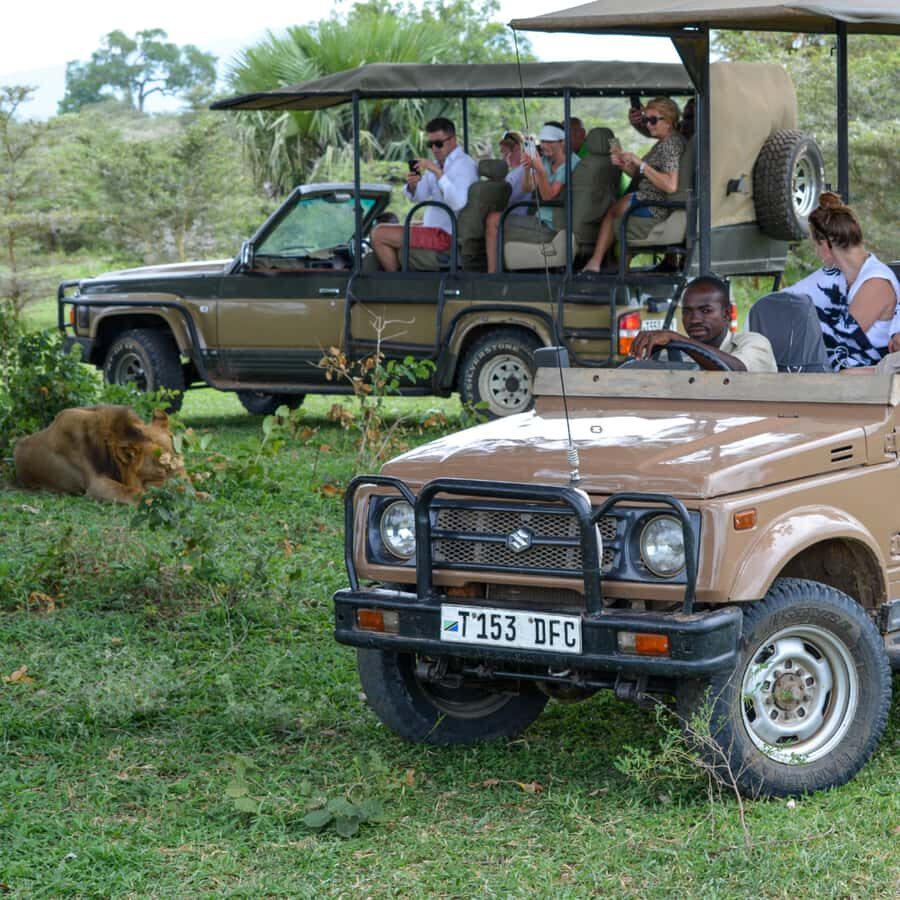 From Zanzibar: Day Selous Game Reserve Safari with Flights - Price and value: what you’re actually paying for