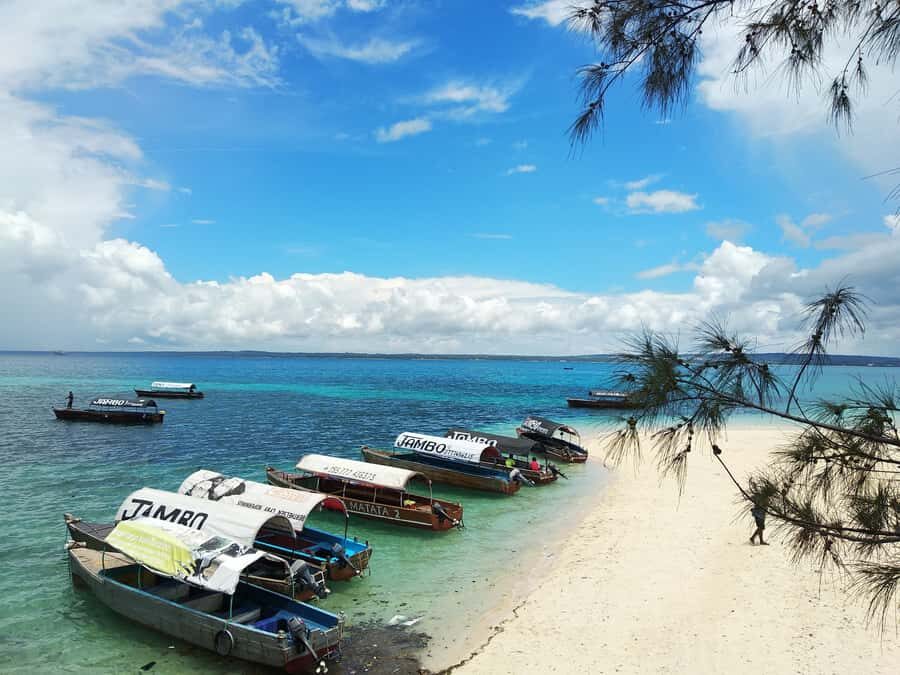 From Zanzibar: Half-Day Prison Island Tour - What you actually get for $78: value vs the snorkeling gamble
