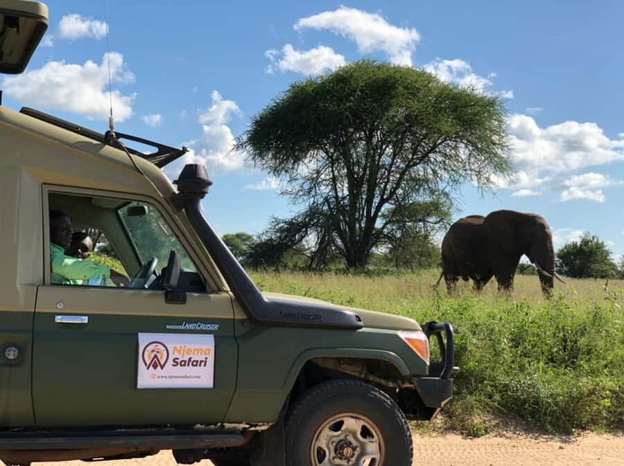 From Zanzibar: Mikumi National Park Guided Safari - Zanzibar-to-Mikumi: the flight plan that makes a one-day safari work