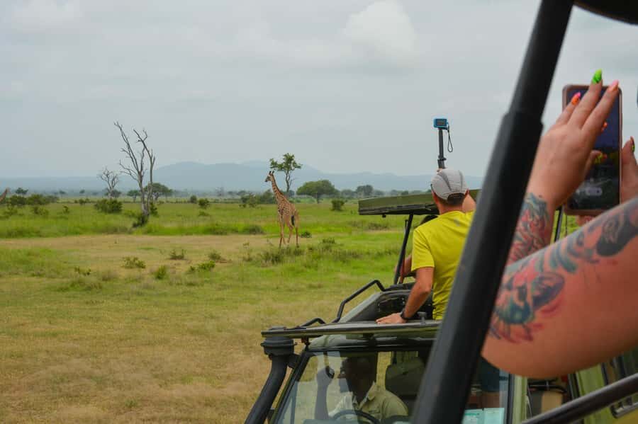 From Zanzibar: Mikumi National Park Guided Safari - Picnic bush lunch at 12:30: why the break is timed so well