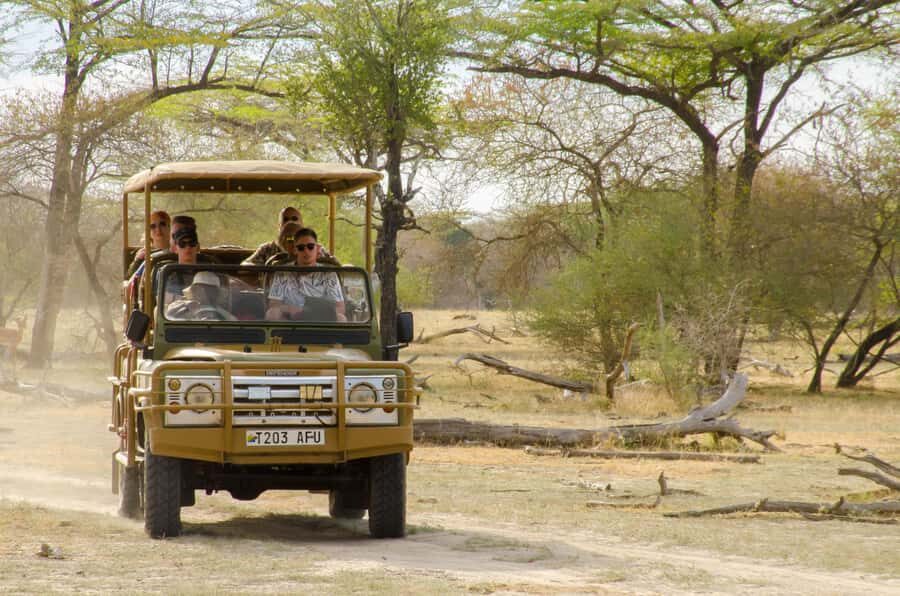 From Zanzibar: Mikumi National Park Guided Safari - The heat factor: what changes after lunch (and what you can do about it)