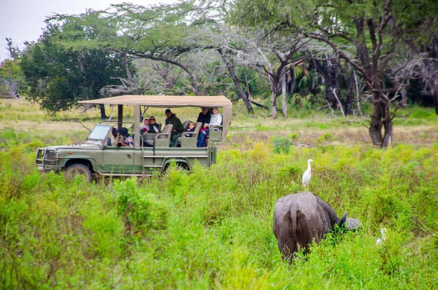 From Zanzibar: Mikumi National Park Guided Safari - What to pack and what to know before you go