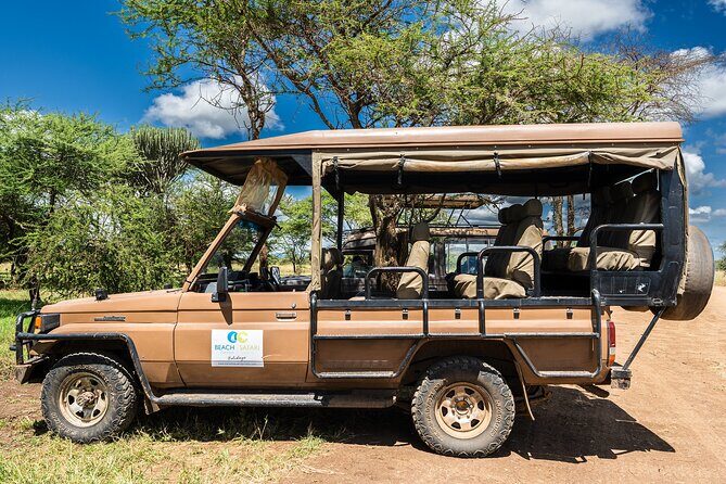 From Zanzibar: Mikumi Safari Day Trip with Flights and Meal - Waiting, Flights, and Transfers: The part to prepare for