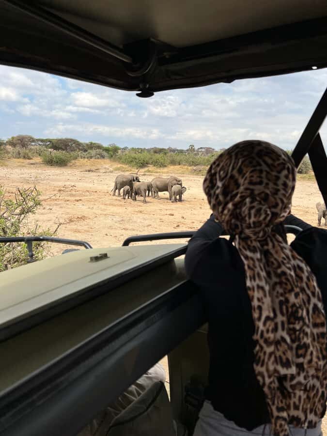From Zanzibar: Nyerere National Park Game Drive with Lunch - Midday picnic lunch with 2 beers: the break that keeps the day fun