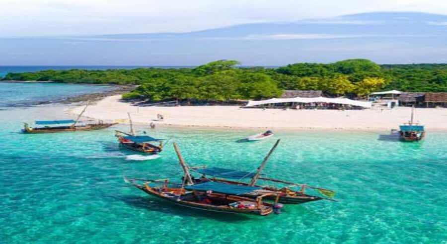 From Zanzibar: Safari Blue Snorkeling Trip with Lunch - Key things to know before you go