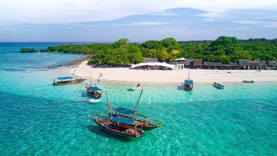 From Zanzibar: Safari Blue Snorkeling Trip with Lunch - Menai Bay Conservation Area: where snorkeling can be excellent—or average depending on conditions