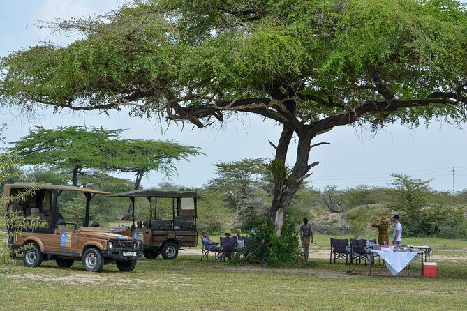 From Zanzibar: Selous Game Reserve Day Safari with Flights - Zanzibar to Selous by flight: the real benefit of this “day safari”