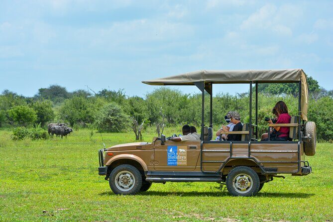 From Zanzibar: Selous Game Reserve Day Safari with Flights - Selous/Nyerere game drive: what you’re really paying for