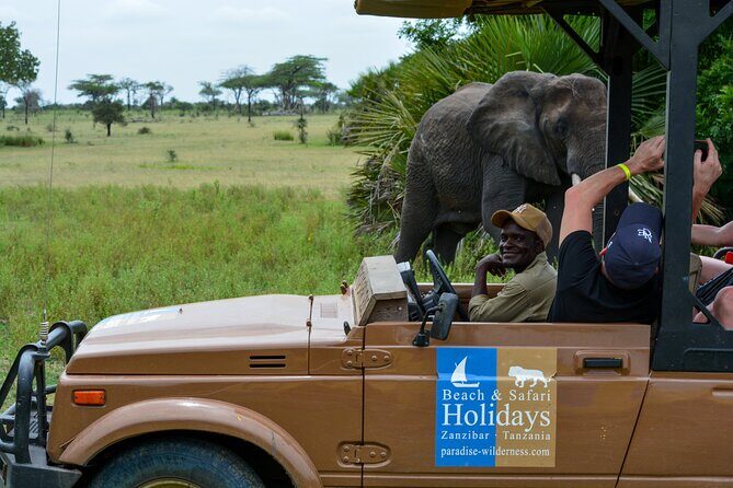 From Zanzibar: Selous Game Reserve Day Safari with Flights - 4:00am hotel pickup and airport handoff: how your morning will feel