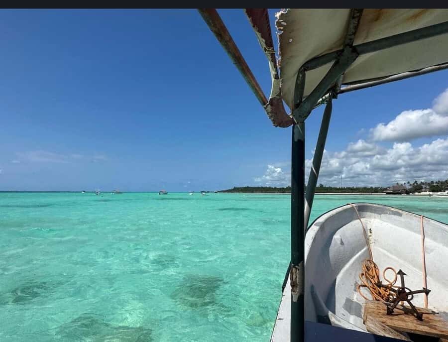 From Zanzibar: Starfish, Blue Lagoon, & The Rock Restaurant - Should you book this Zanzibar Starfish, Blue Lagoon, and The Rock tour?