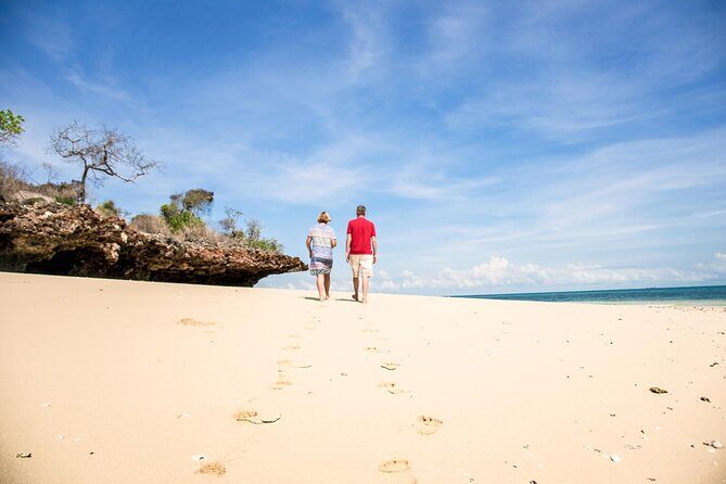 Full-Day Blue Lagoon and Sandbank Boat Tour from Zanzibar ( Safari blue) - Timing and logistics: why early mornings can still mean waiting