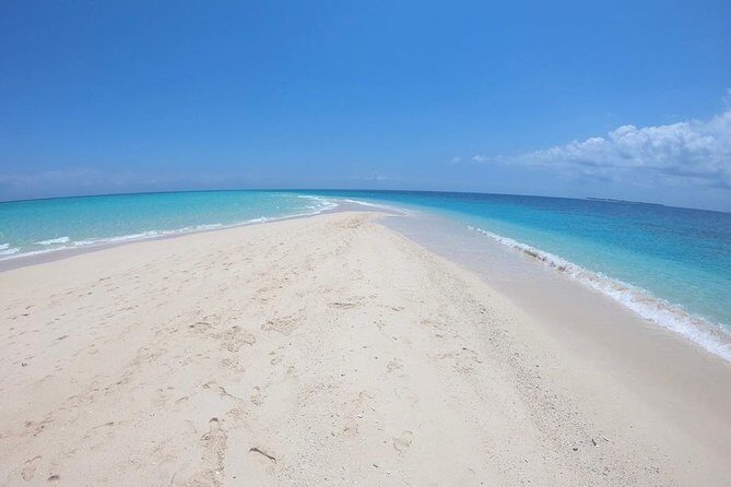 Full-day Prison Island and Nakupenda Sandbank with Lunch buffet - Stone Town to the boats: a smart way to see Zanzibar fast