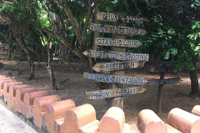 Full-day Prison Island, Nakupenda and Stone Town Tour with Lunch Buffet - Who should book this tour (and who should rethink it)