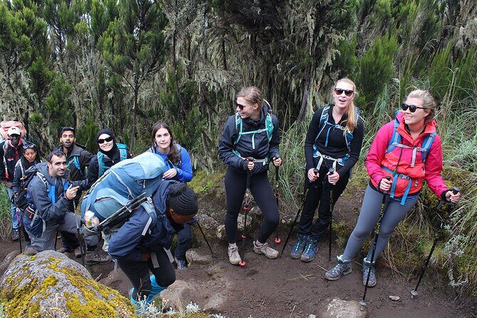 Full Day Private Hiking Tour to Kilimanjaro Mountain - Hike up toward Mandara Hut: rainforest walking with real wildlife odds