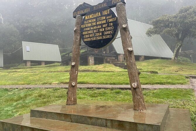 Full Day Private Hiking Tour to Kilimanjaro Mountain - The Mandara Hut pause: break, breathe, and reset
