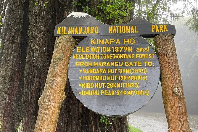 Full Day Private Hiking Tour to Kilimanjaro Mountain - Price and value: what you pay for (and what you don’t)