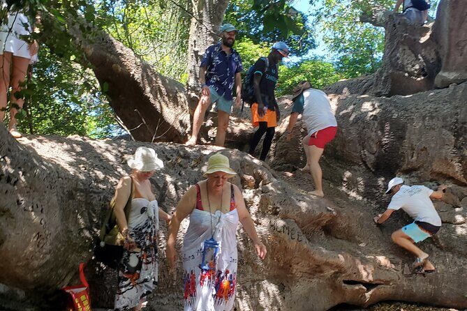 Full Day Private Safari Blue Sea Adventure in Zanzibar - Kwale Island and the Old Baobab: a land break that’s worth it