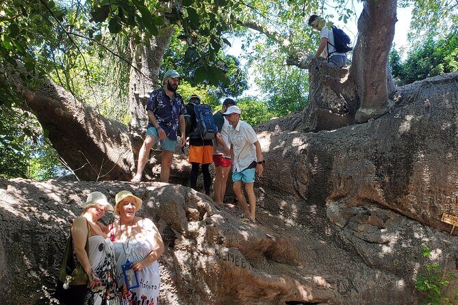 Full Day Private Safari Blue Sea Adventure in Zanzibar - Lunch and drinks: what’s included (and how it affects your day)