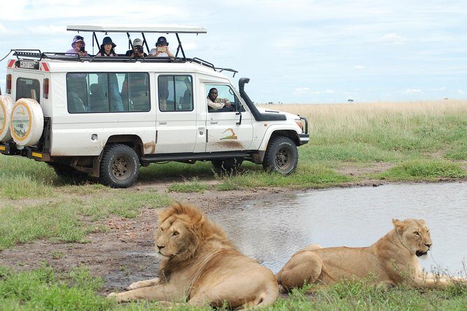 Full-Day Private Serengeti Safari from Mwanza - Quick highlights