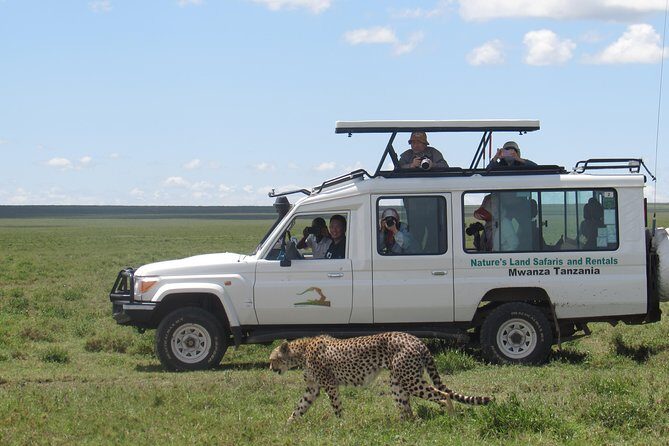 Full-Day Private Serengeti Safari from Mwanza - The 4x4 setup: pop-up roof + AC + real charging options