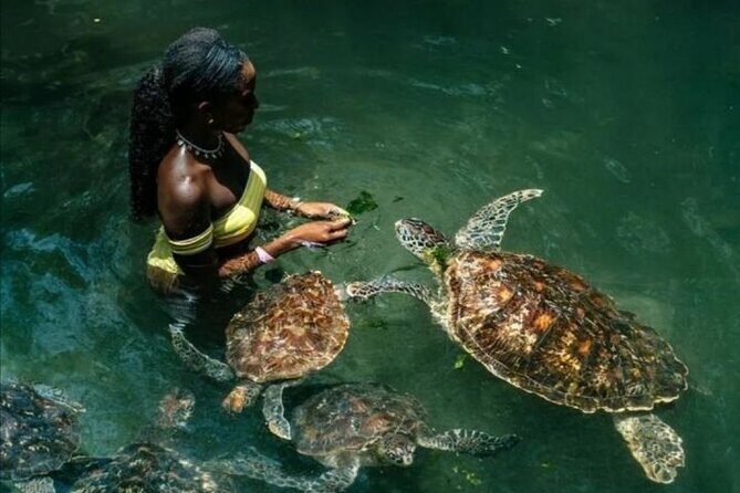 Full Day Private Zanzibar Tour with Sunset Beach - Key highlights worth planning around